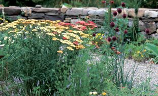 Gravel Garden, Gardening In Drought
Garden Design
Calimesa, CA