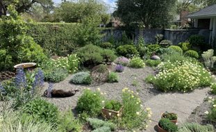 Gravel Garden, Waterwise Garden
Garden Design
Calimesa, CA
