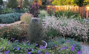 Low-Water Garden
Garden Design
Calimesa, CA
