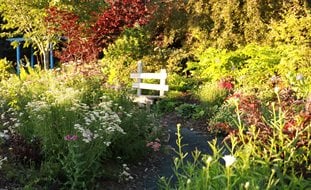 Garden Path With Abundant Plants
Garden Design
Calimesa, CA