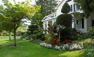 Front Of House
Ornamental Grasses in Pots
Garden Design
Calimesa, CA