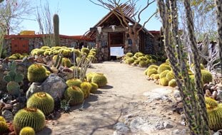 Ornamental Grasses in Pots
Garden Design
Calimesa, CA