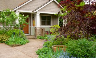 Front Entryway With Plantings
Ornamental Grasses in Pots
Garden Design
Calimesa, CA