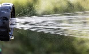Garden Hose, Watering
Ornamental Grasses in Pots
Pixabay