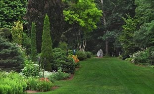 Long_lawn__hex_rock_pampenick_bedrockgardens3
Ornamental Grasses in Pots
Garden Design
Calimesa, CA