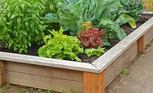 31 Raised Garden Bed Design Ideas