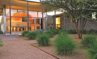 Ornamental Grasses in Pots
Ten Eyck Landscape Architects
Austin, TX