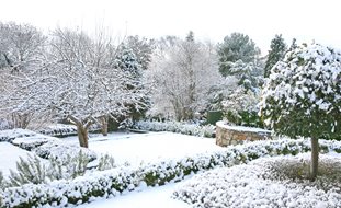 Winter Garden, Garden Snow
Shutterstock.com
New York, NY