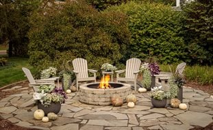 Outdoor Fire Pit With Seating, Fall Fire Pit
Small Garden, Big Interest
Proven Winners
Sycamore, IL