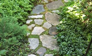 Stone Walking Path And Stairs
Garden Design
Calimesa, CA