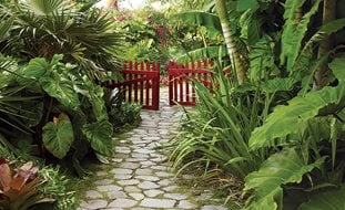Helen and Brice Marden's Caribbean Hotel, Slide Show Garden Design Calimesa, CA