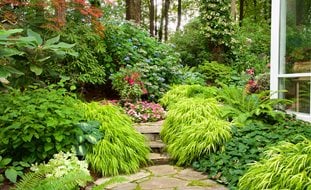 Layered Shade Garden, Shade Garden With Impatiens
Garden Design
Calimesa, CA