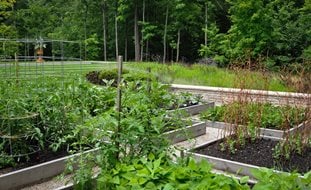 Bountiful
McCullough's Landscape & Nursery LLC
Johnstown, OH