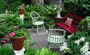 Small Garden Big Interest Eric Sternfels Homeowner Philadelphia Pa Small Garden Big Interest Eric Sternfels Homeowner Philadelphia Pa