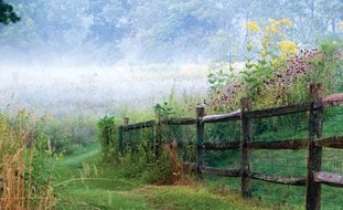 Garden Design
Calimesa, CA