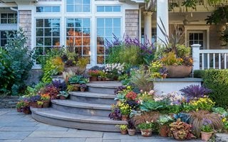 Container Group, Fall Containers
Landcraft Environments, Ltd.
Mattituck, NY