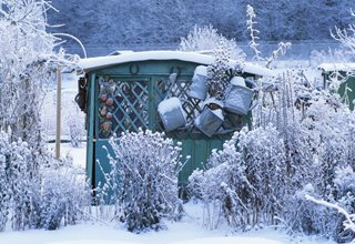 Winter Garden Shed, Winter Garden
7 Elegant Watering Essentials
Shutterstock.com
New York, NY