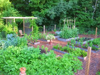 Raised Bed Garden Design How To Layout Build Garden Design