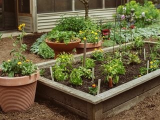 How to Make a SImple Garden Planter Box - raised bed garden!