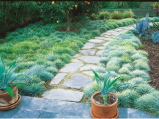 eco-friendly lawn alternatives garden design