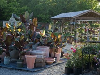 "Dream Team's" Portland Garden
Garden Design
Calimesa, CA