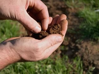 Garden Soil, Soil Preparation "Dream Team's" Portland Garden Shutterstock.com New York, NY