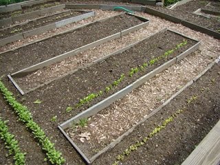 Raised Beds, Garden Soil, Vegetables
"Dream Team's" Portland Garden
Johnsen Landscapes & Pools
Mount Kisco, NY