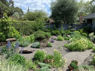 Drought Tolerant Gravel Garden
Garden Design
Calimesa, CA