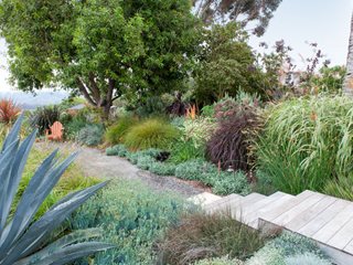 Encinitas, Water Wise Garden
Debora Carl Landscape Design
Encinitas, CA