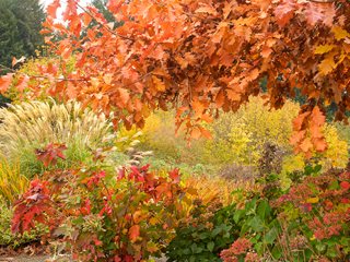 Fall Landscaping Ideas, Fall Garden Ideas
Garden Design
Calimesa, CA