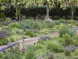 Perennial Bulb Garden Design John Greenlee s American Meadow Garden Garden Design Perennial Bulb Garden Design John Greenlee s American Meadow Garden Garden Design