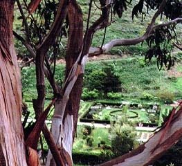 Garden Design
Calimesa, CA