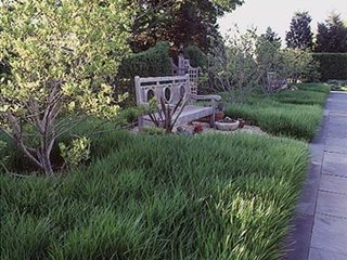 Garden Design
Calimesa, CA