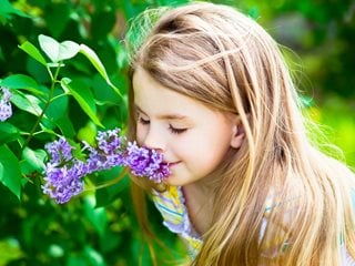 Girl Smelling Lilac Flowers, Fragrant Lilac Flowers
Shutterstock.com
New York, NY