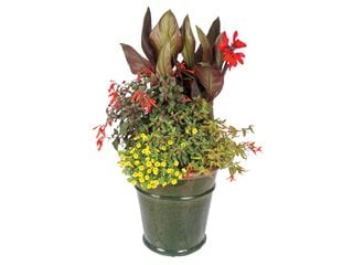 Hummingbird Container Garden Garden Design