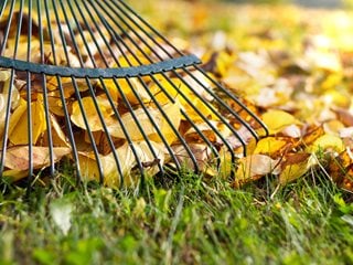 Leaves, Rake, Fall Shutterstock.com New York, NY