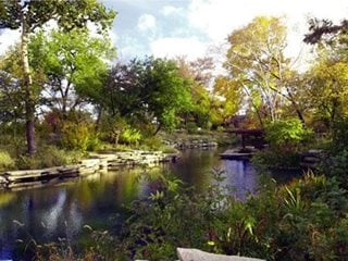 Lincoln-Park-Lily-Pool
Garden Design
Calimesa, CA