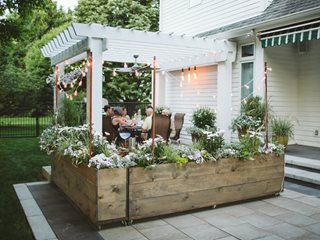 Moon Garden Planters, White Plants
Proven Winners
Sycamore, IL