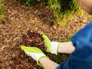 Mulching Garden Bed, Bark Garden Mulch
Shutterstock.com
New York, NY