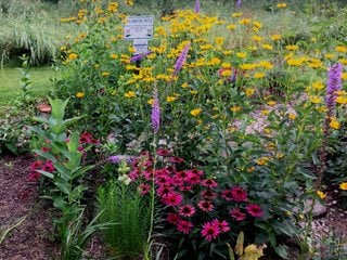 花粉交配者の庭を植えるのに最適な時期