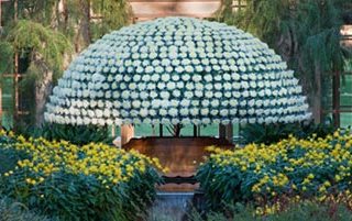 The Thousand Bloom
Garden Design
Calimesa, CA