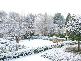 Winter Garden, Garden Snow
Shutterstock.com
New York, NY