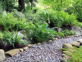 Woodland Garden Path
Shutterstock.com
New York, NY