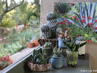 Succulents In Containers, Container Arrangement
Debra Lee Baldwin
San Diego, CA