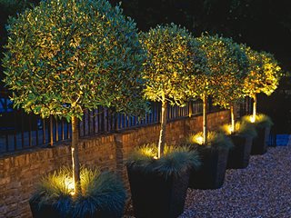 Garden Design
Calimesa, CA