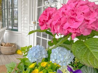 Hydrangea Planter On Porch
Garden Design
Calimesa, CA