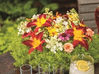 Lemon Coral Sedum, Ruby Spider Daylily, Flower Centerpiece
Proven Winners
Sycamore, IL