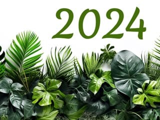 2024 Banner With Plants
Garden Design
Calimesa, CA