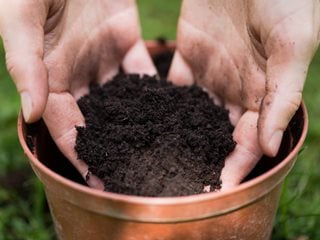 Potting Soil, Potting Soil In Pot, Dirt In Pot
Shutterstock.com
New York, NY