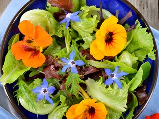 Edible Dried Flowers, Endless Uses